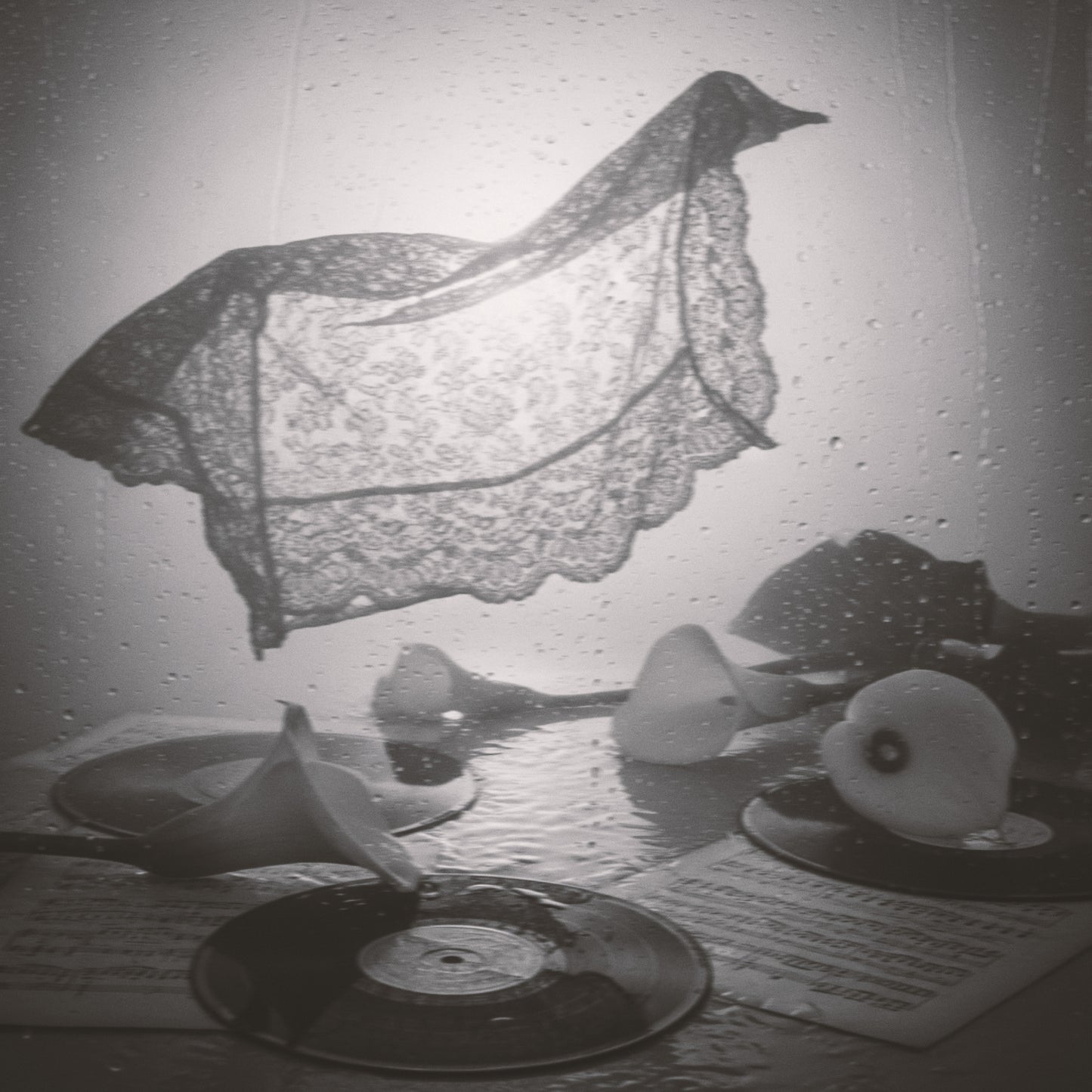Prelude / Waterlight Lace