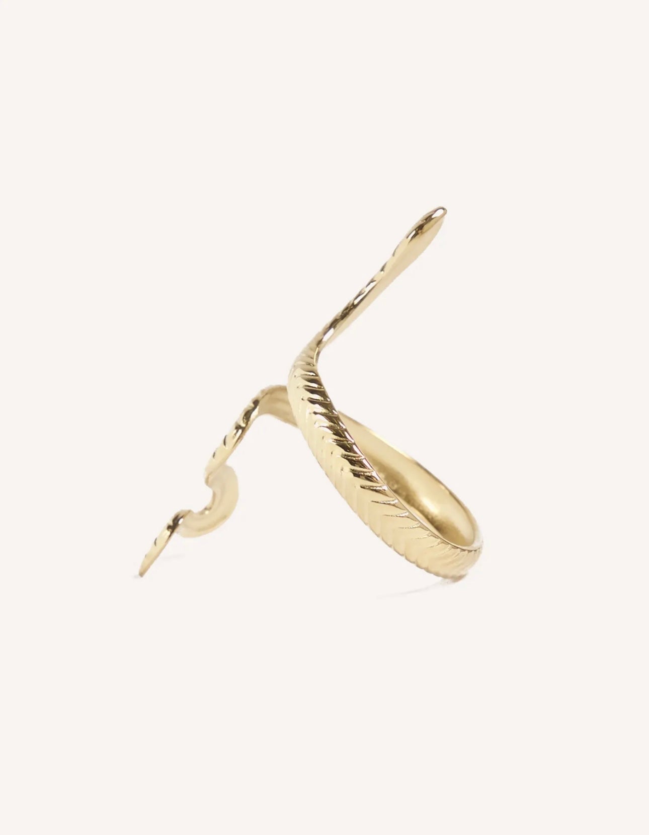 Anillo “Serpiente”