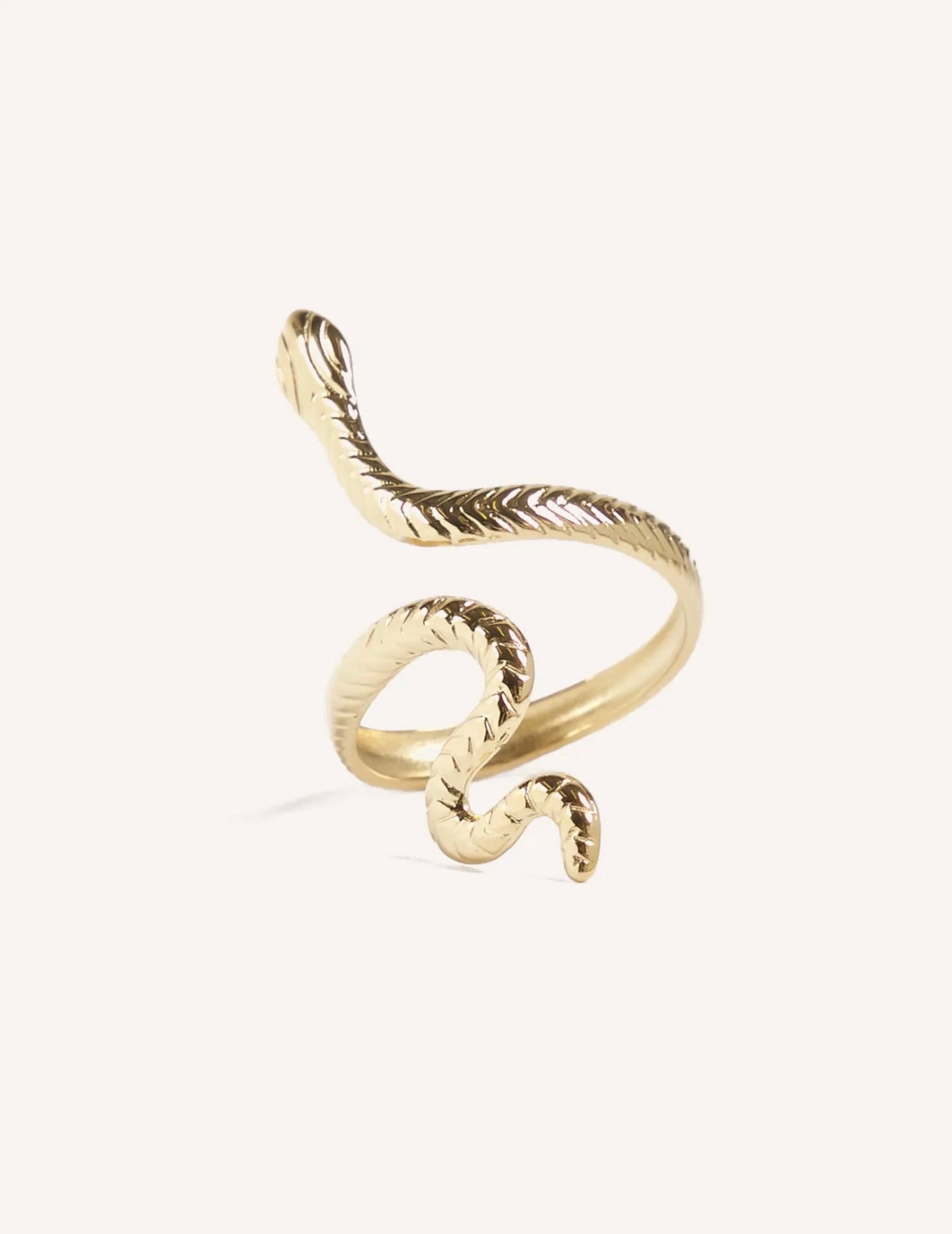 Anillo “Serpiente”