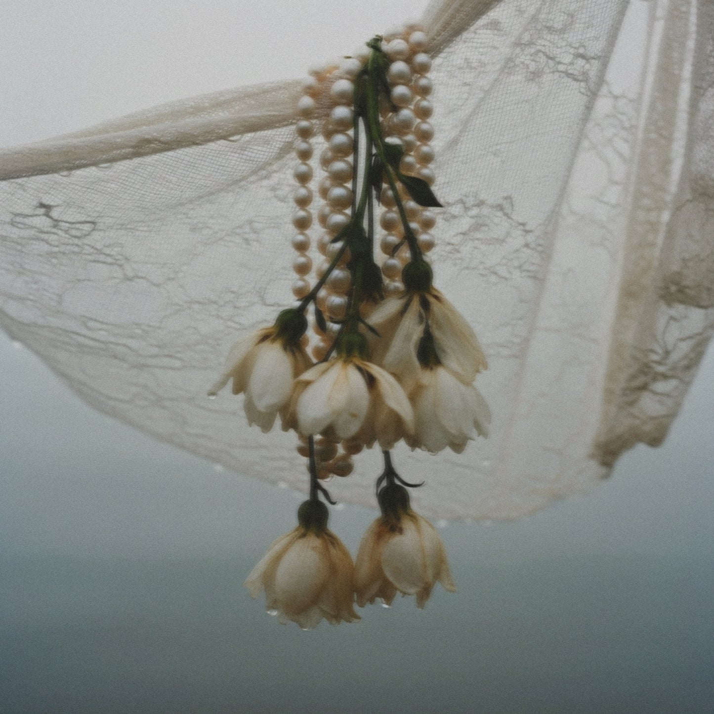 Nocturne / Flowers and Pearls