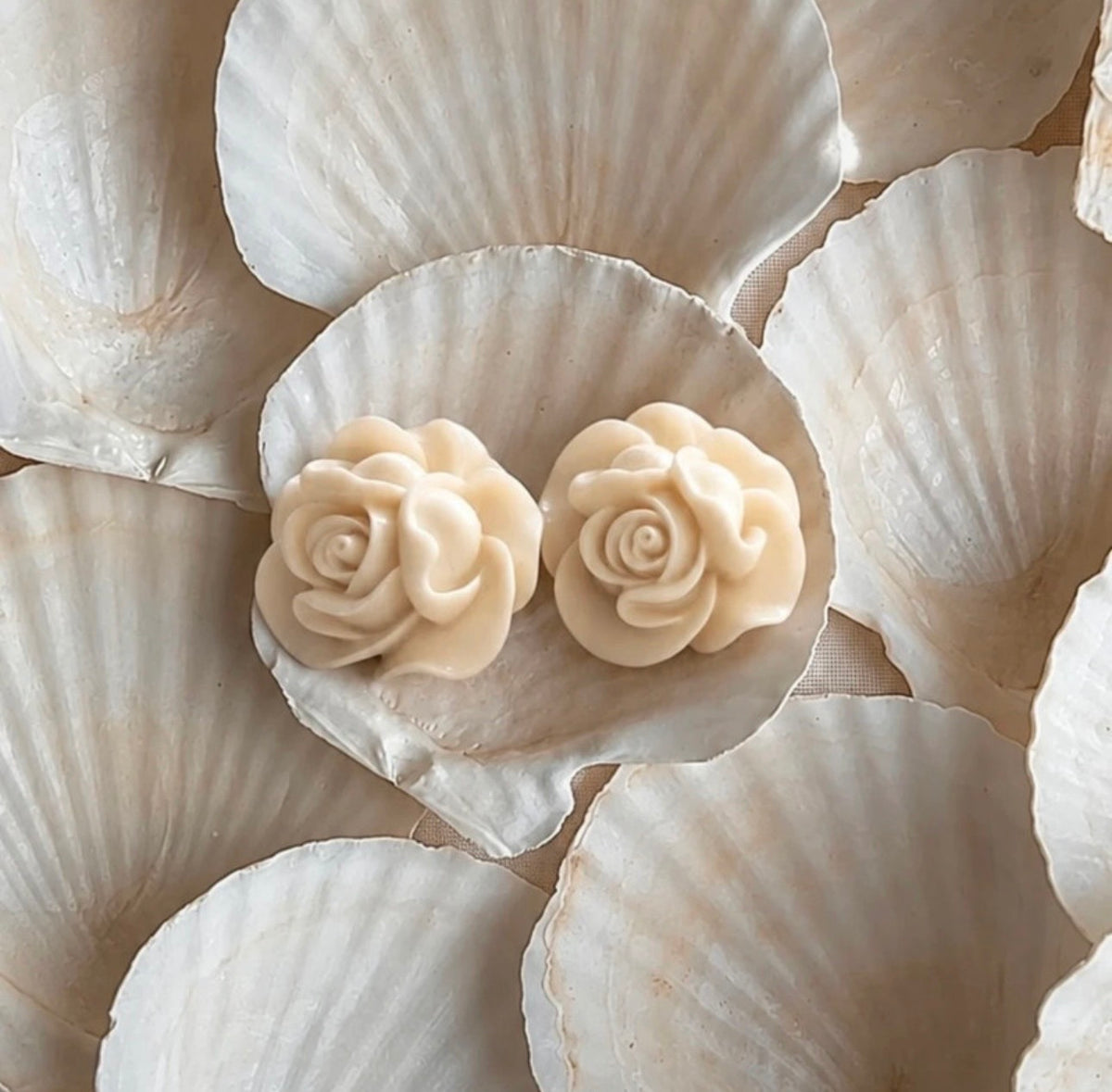 Clips vintage de rosas marfil sobre conchas nacaradas
