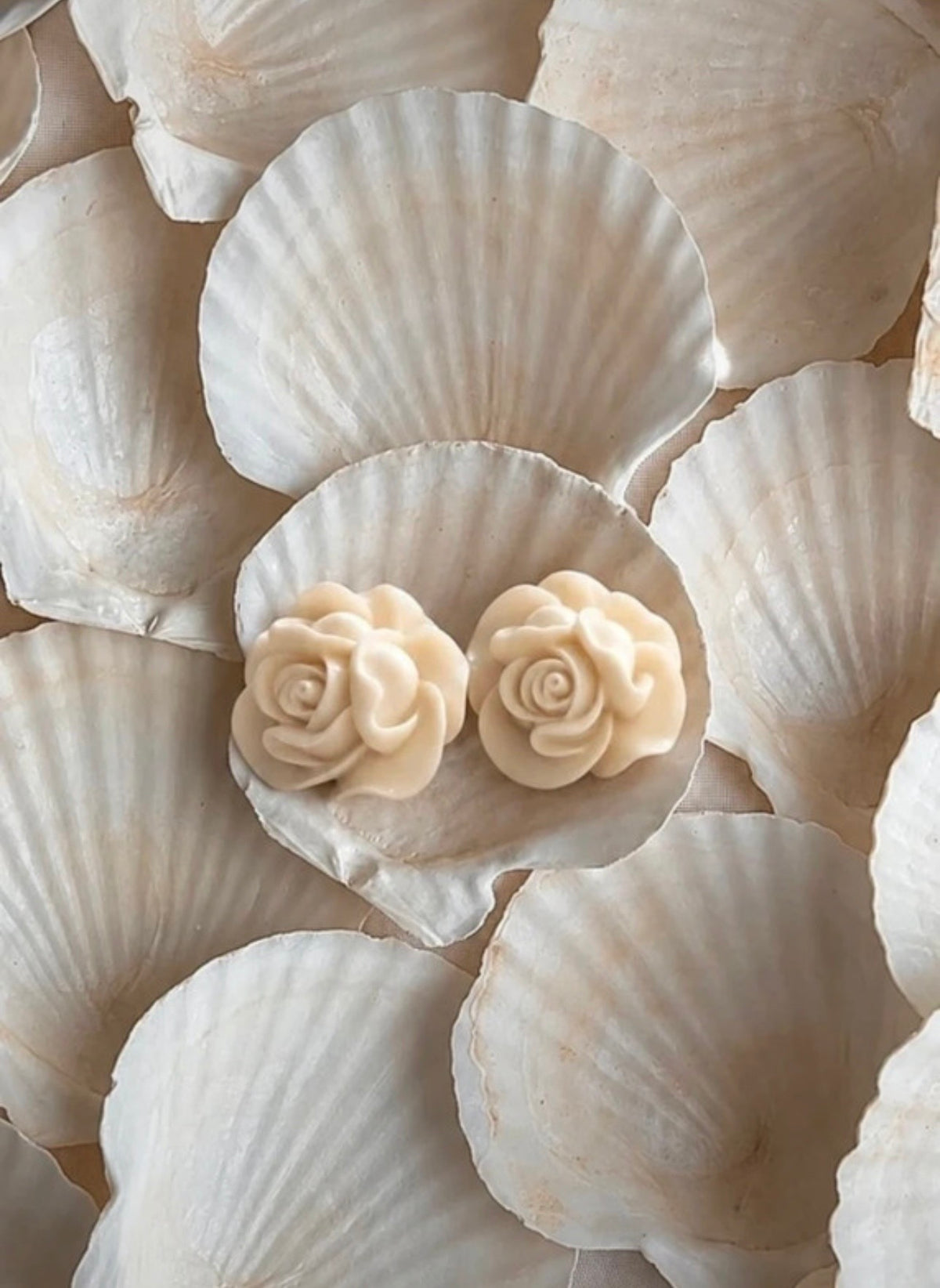 Clips vintage La Rose immobile sobre conchas blancas